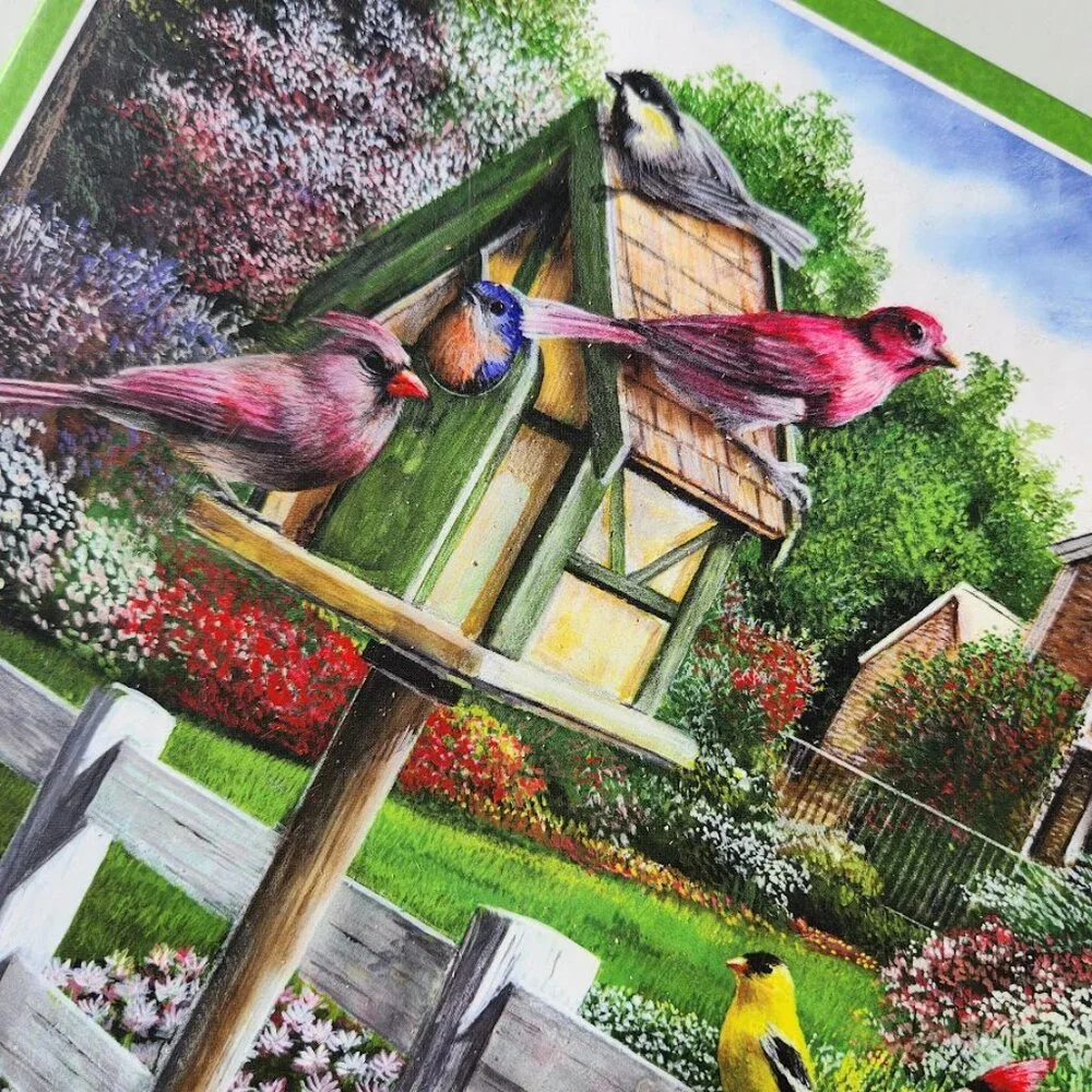 Feathers and Flowers 1000 Piece Jigsaw Puzzle Kevin Daniel Wild Birds Puzzle wit